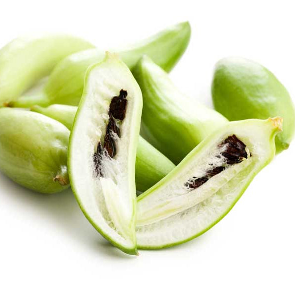 Caigua Seeds