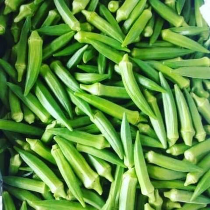 Cajun Delight Okra seeds
