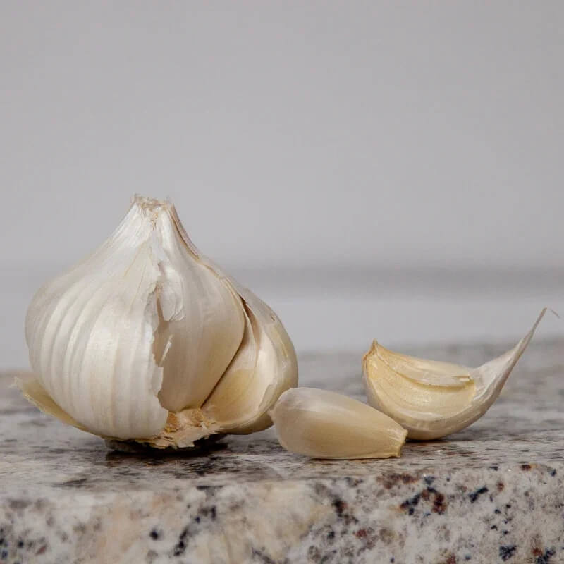 California early garlic seeds - Vegetable Plant