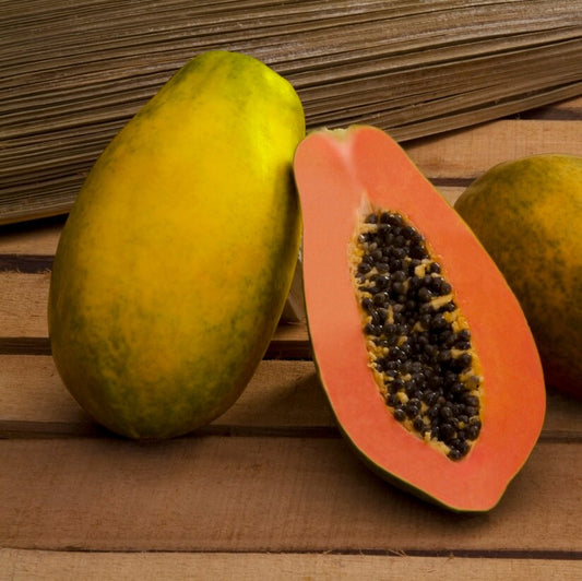 Calimosa Papaya Seeds
