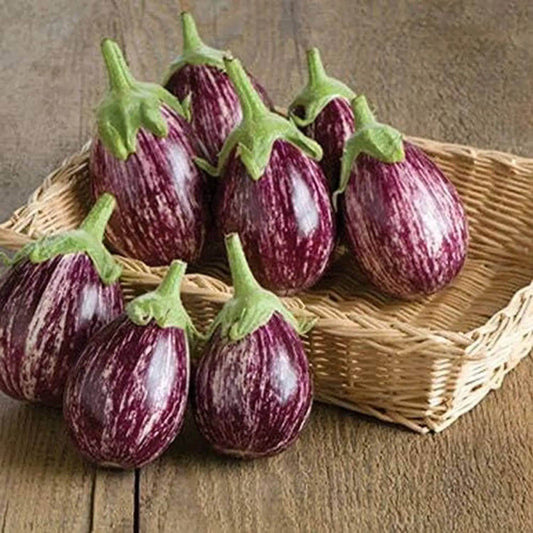 Calliope Eggplant Seeds - Heirloom Vegetable Plant for Home Gardens