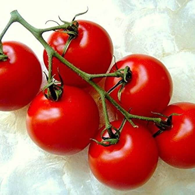 Campari Tomato Seeds - Vegetable Plant