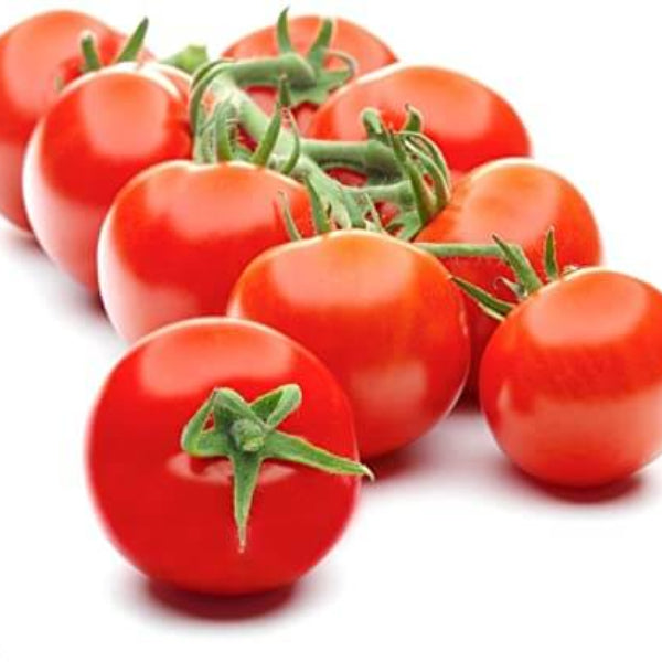 Campari Tomato Seeds - Vegetable Plant