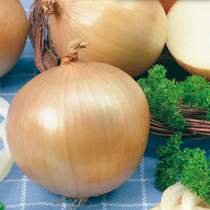 Candy onion seeds - Vegetable Plant