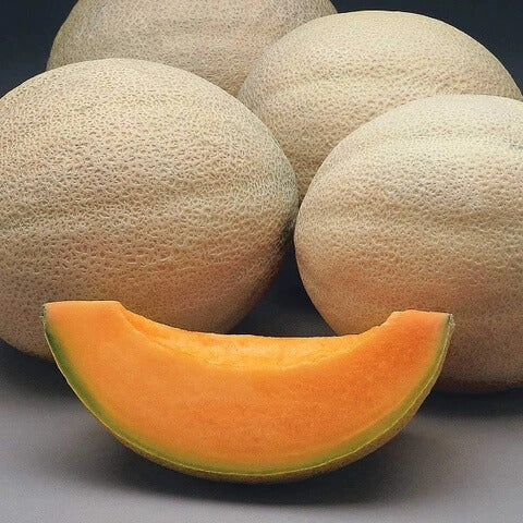 Cantaloupe Melon Seeds