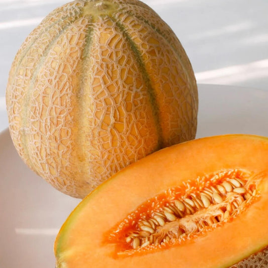 Cantaloupe Melon Seeds
