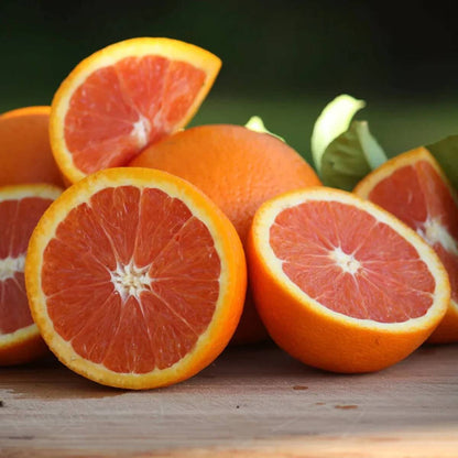 Cara Cara Orange Seeds - Fruit Plant