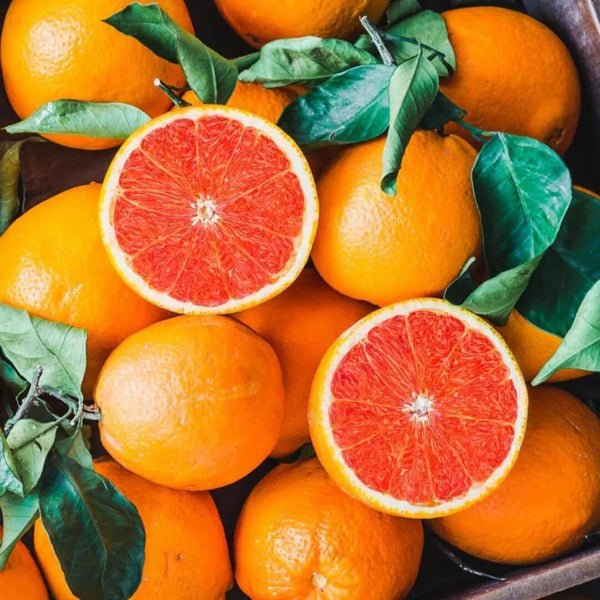 Cara Cara Orange Seeds - Fruit Plant