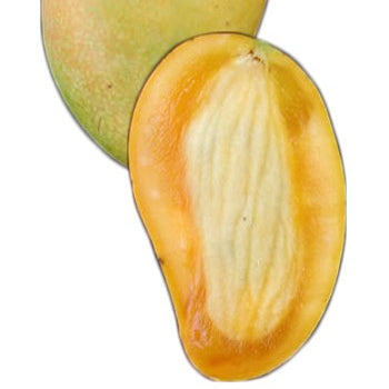 Carabao Mango Seeds
