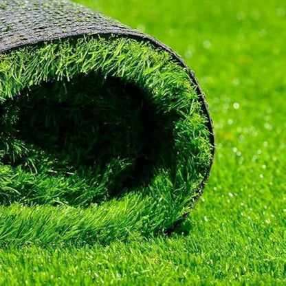 Carpet Grass Seeds - Graass Seeds for Home Gardens