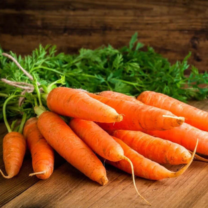 Carrot Seeds - Vegetable Plant