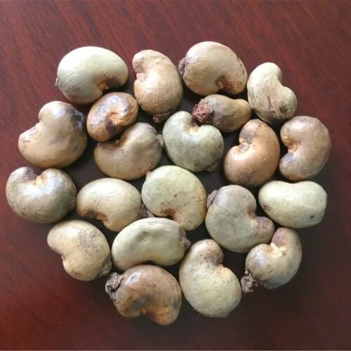Cashew Seeds 