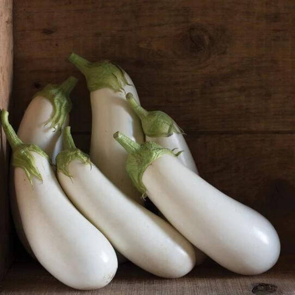 Casper Eggplant Seeds - Heirloom Vegetable Plant for Home Gardens
