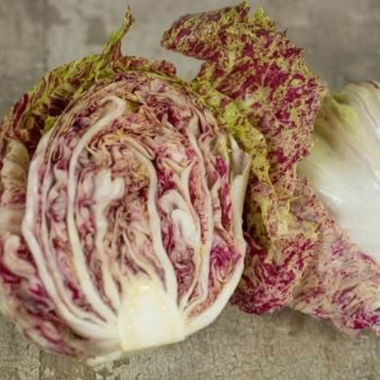 Castelfranco Radicchio Seeds