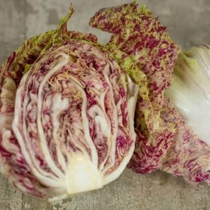 Castelfranco Radicchio Seeds