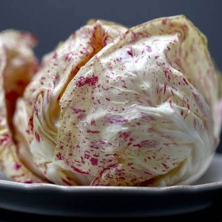 Castelfranco Radicchio Seeds