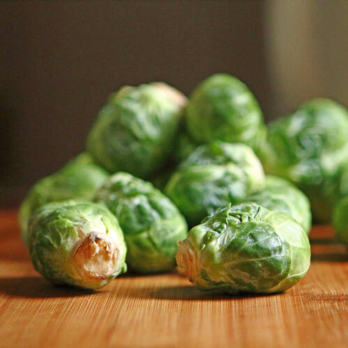 Catskill Brussels Sprout Seeds - Vegetable Plant