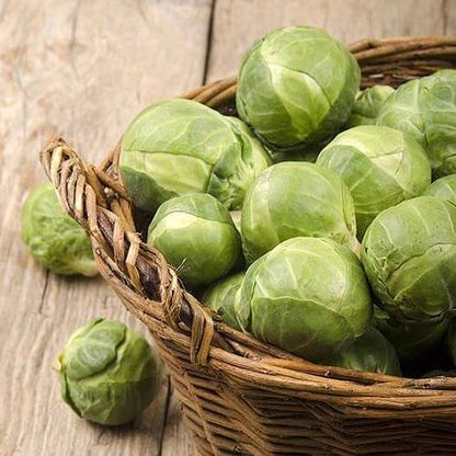 Catskill Brussels Sprout Seeds - Vegetable Plant