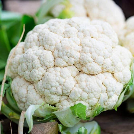 Cauliflower seeds - Vegetable Plant