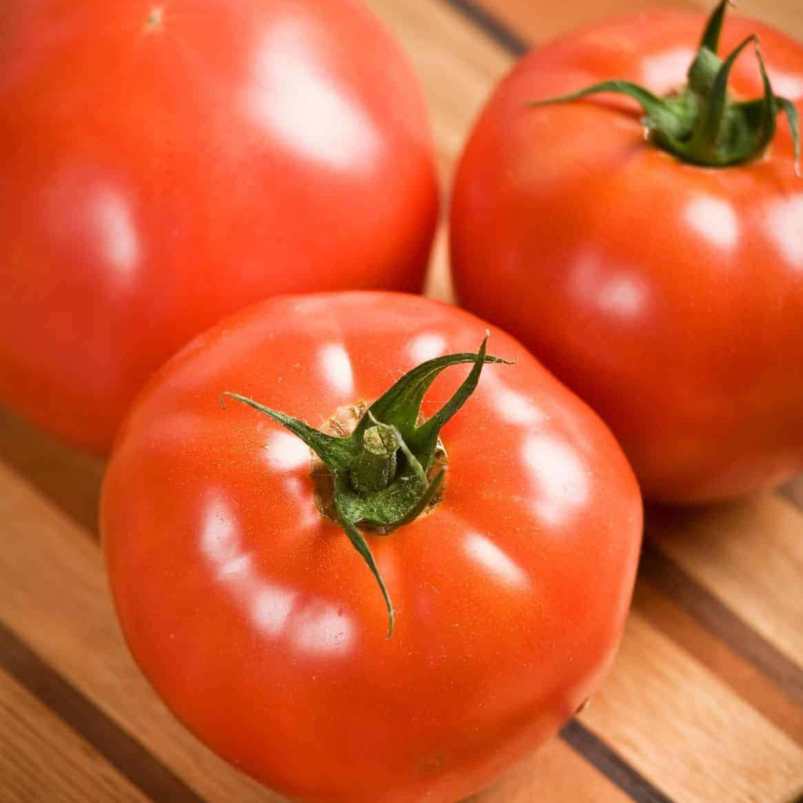 Celebrity Hybrid Tomato Seeds