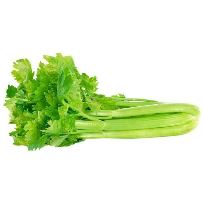 Celery Seeds - Vegetable Plant