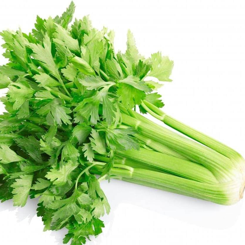 Celery Seeds - All In One For Home Gardens