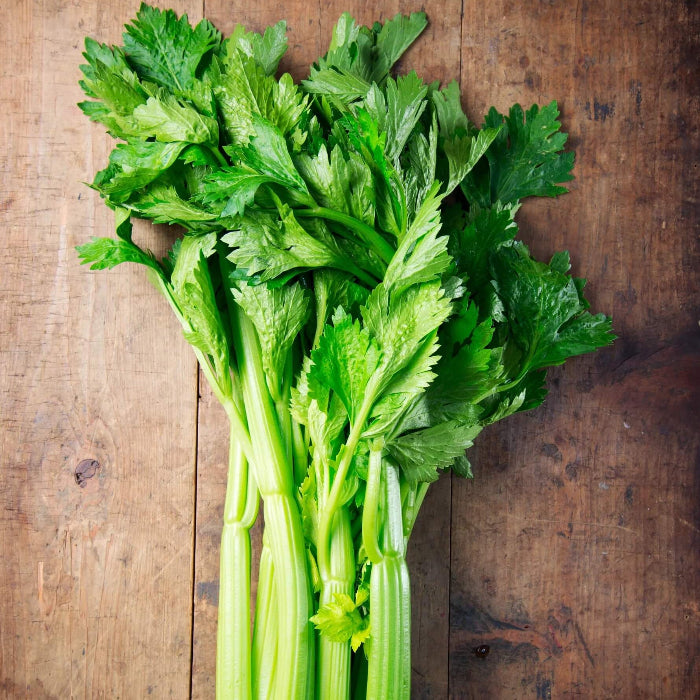 Celery Tall Utah Seeds