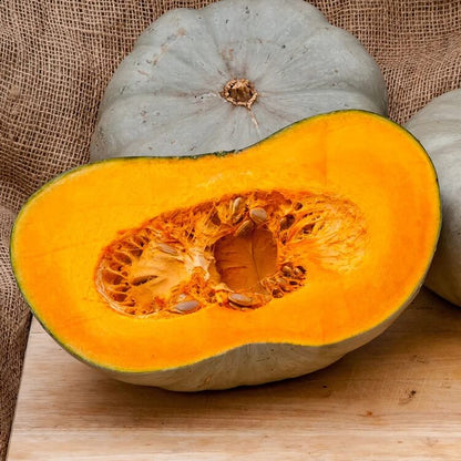 Centner Nelson Pumpkin Seeds
