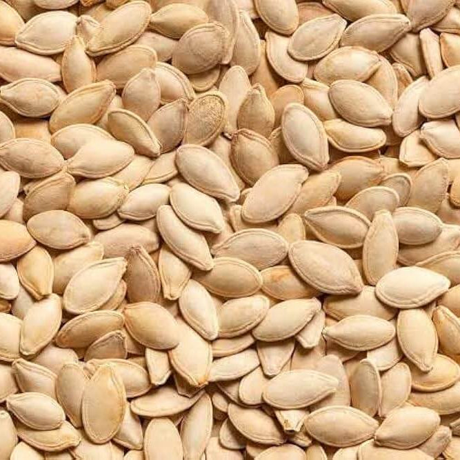 Centner Nelson Pumpkin Seeds