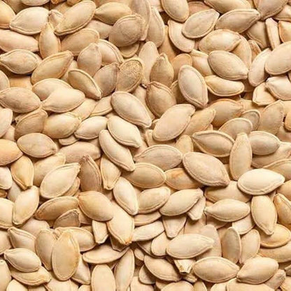 Centner Nelson Pumpkin Seeds
