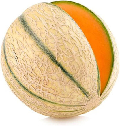Charentais Cantaloupe Seeds - Fruit Plant