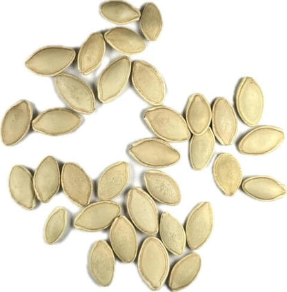 Chayote Seeds