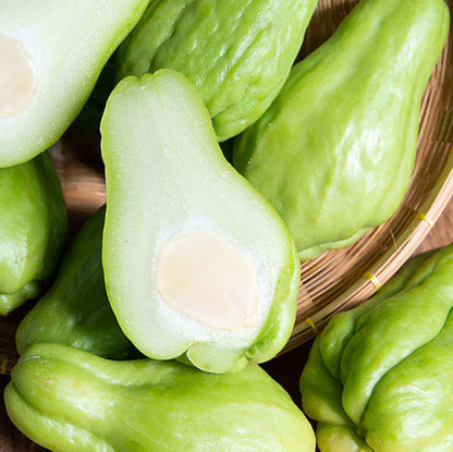 Chayote Seeds
