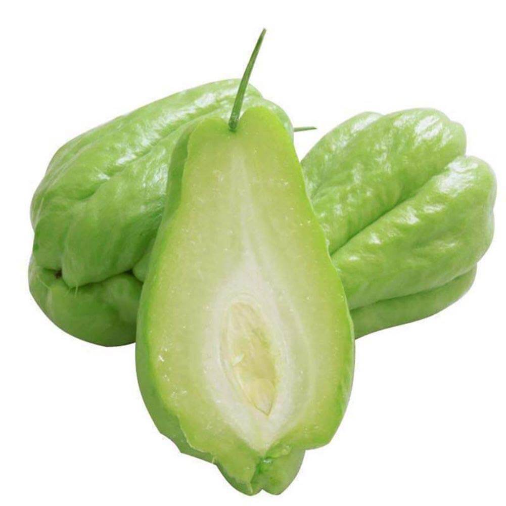 Chayote Seeds - Vegetable Plant for Home Gardens
