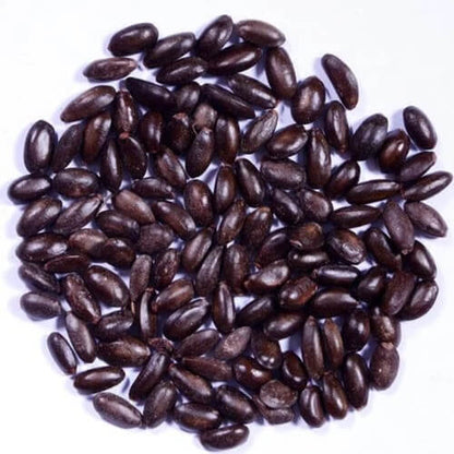 Cherimoya Custard Apple Seeds