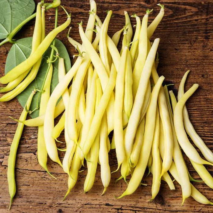 Cherokee Wax Bean Seeds - Vegetable Plant