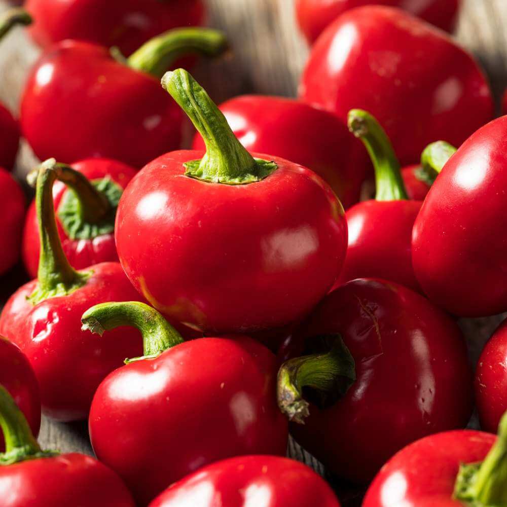Cherry Bomb Pepper Seeds - Vegetable Plant