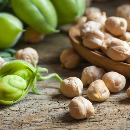 Chickpea Seeds - Vegetable Plant for Home Gardens