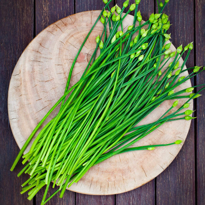 Chinese Chives Seeds - Herbal Plant