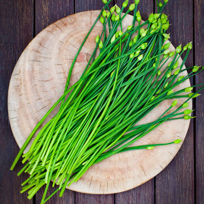 Chinese Chives Seeds - Herbal Plant