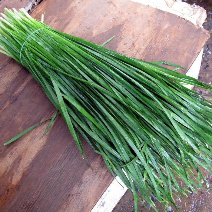 Chinese Garlic Chives Seeds