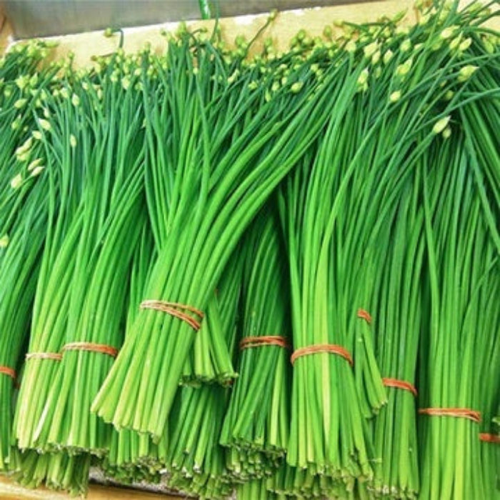 Chinese Garlic Chives Seeds