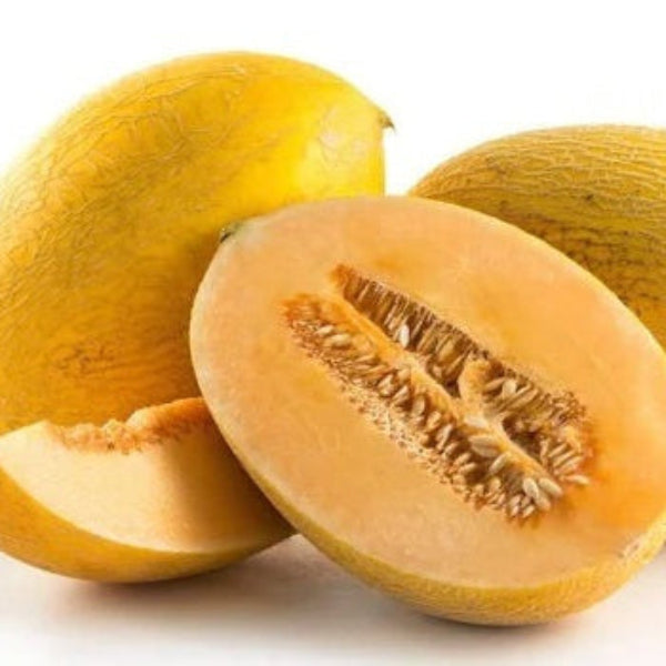 Chinese Hami Melon Seeds