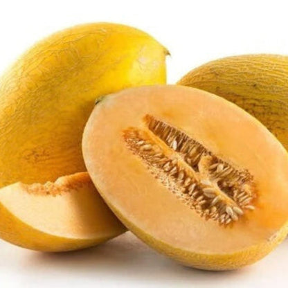 Chinese Hami Melon Seeds