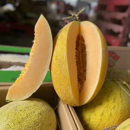 Chinese Hami Melon Seeds