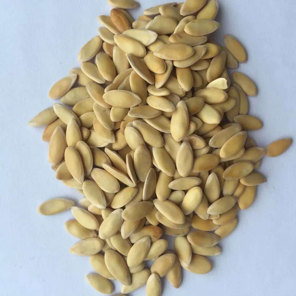 Chinese Hami Melon Seeds