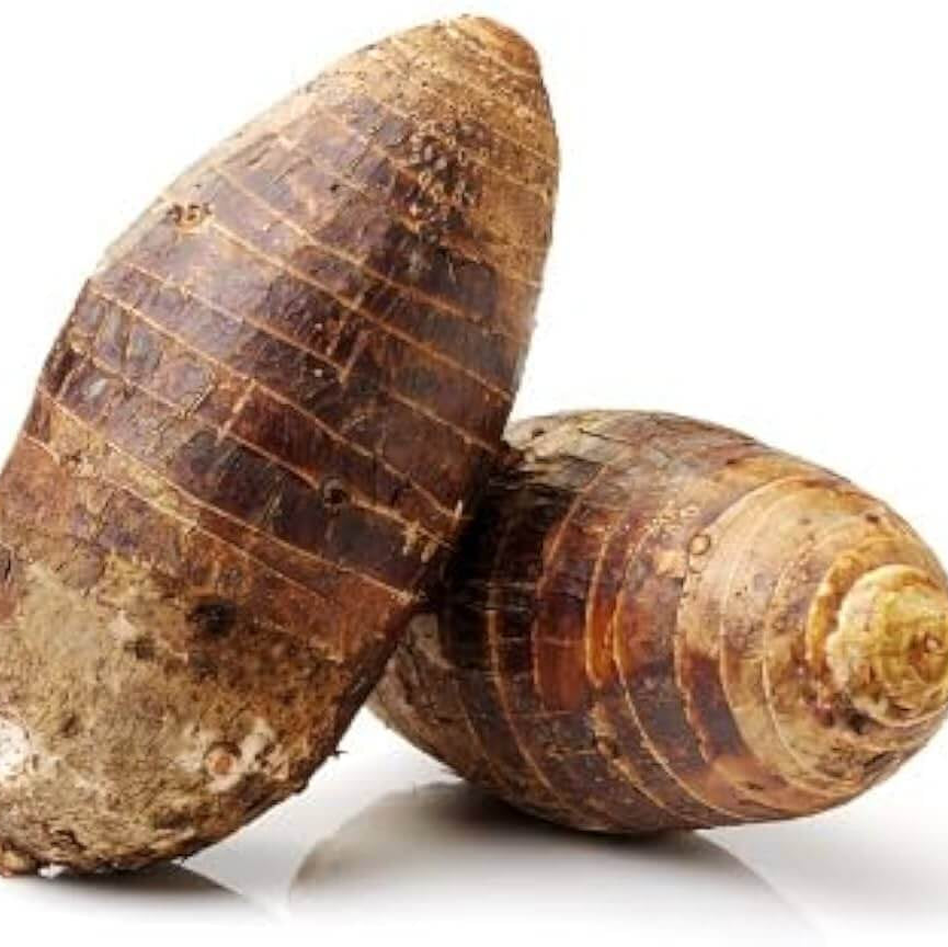 Chinese Taro Seeds