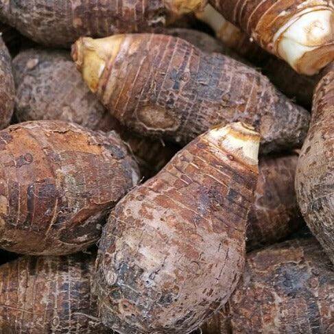Chinese Taro Seeds