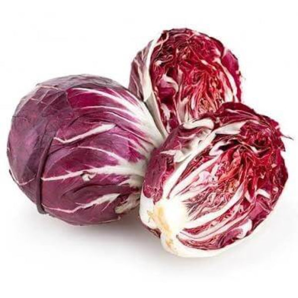 Chioggia Radicchio Seeds
