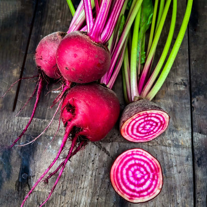 Chioggia beet seeds - Vegetable Plant